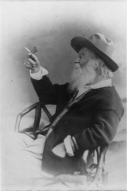Happy Birthday Walt Whitman