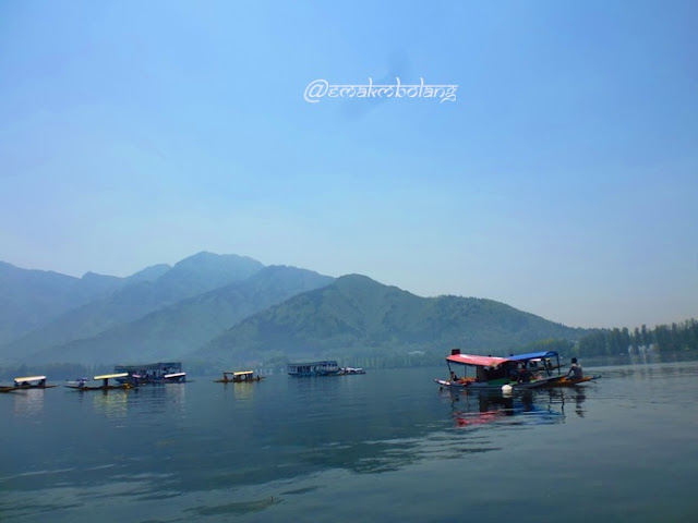 Dal Lake, Kashmir, India