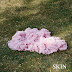 Basement Revolver – Skin