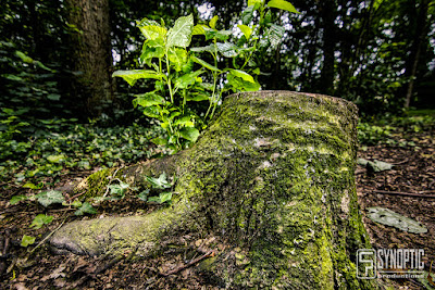 Escapade nature à Guyancourt