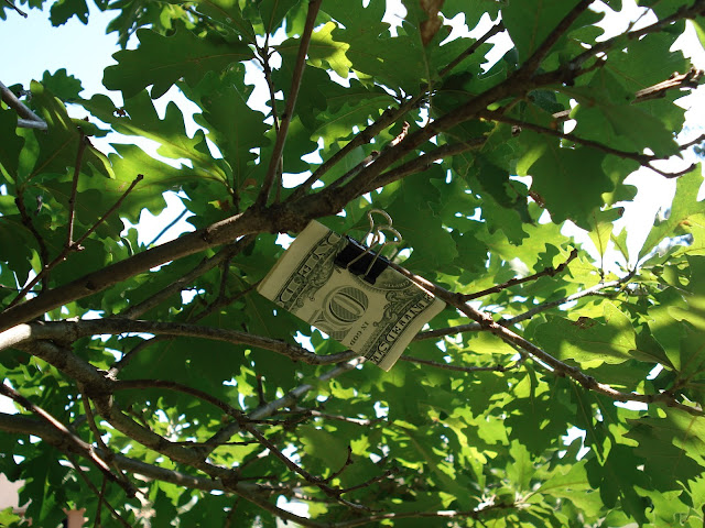 The Money Tree Treasure Hunt