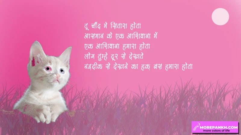 Cuteness shayari | Cute shayari