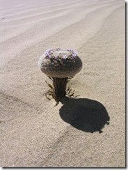 CA07-012_300