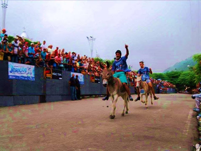 Festival Nacional de Jericos de Panelas-PE