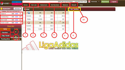 Panduan Bermain Isin Togel Online