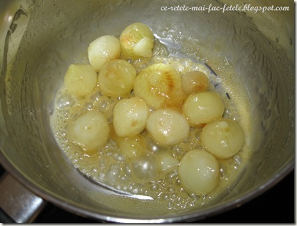 Boeuf Bourguignon - ceapa aurita