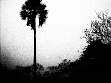 I lived in a tree for a while
