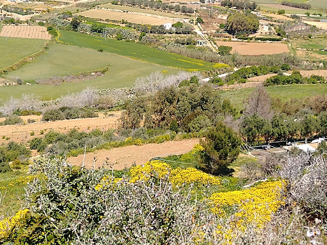 Chadwick Lakes, Malta - Sincerely Loree