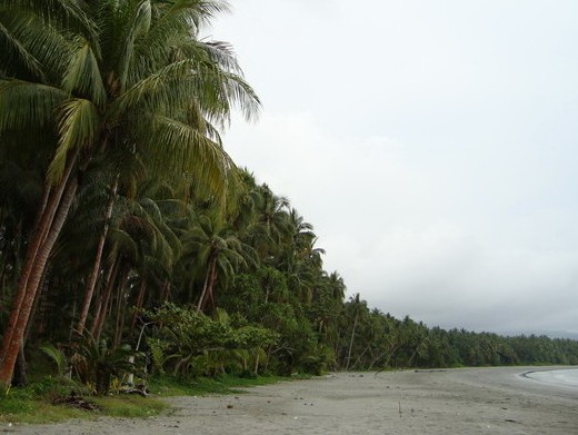Pesona Keindahan Wisata Pantai Kelapa Di Tuban Ihategreenjello