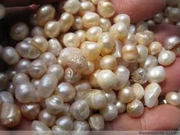 PEARL | BENEFITS AND USES | 