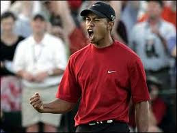 Tiger woods best shots