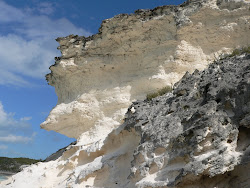 Limestone Cliff, Bitter Guana