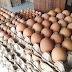Preço do ovo de galinha sobe mais de 20% e tem a maior alta em uma década