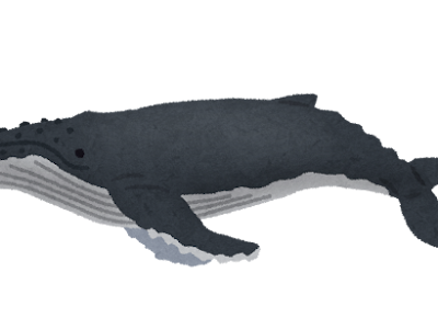 [コンプリート！] くじら イラスト フリー 196710-クジラ シルエット イラスト フリー