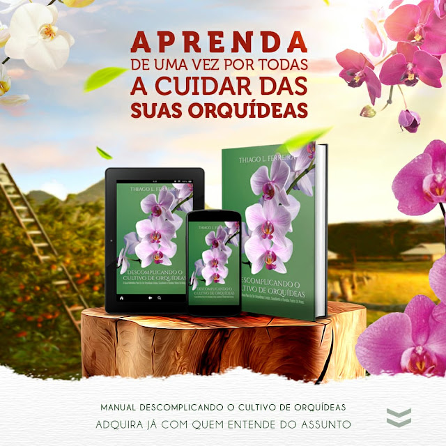 descomplicando-o-cultivo-de-orquideas-livro-pdf