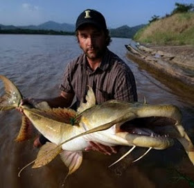 idegue-network.blogspot.com - 9 Monster Sungai yang Hidup di Perairan Dunia