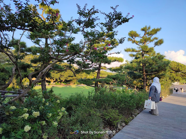 Osulloc Tea Museum, Pusat Perusahaan Teh Asli Jeju Island