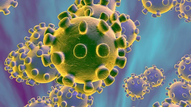 5 Misteri Pandemi Virus Corona yang Belum Terungkap