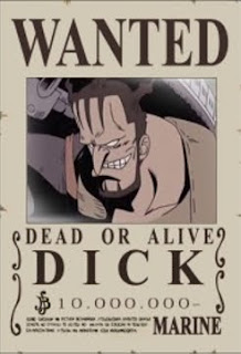 bounty dick one piece