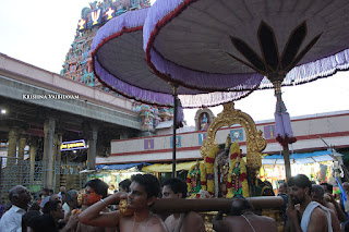 Karthigai,Thiruvonam,Purappadu,2016, Video, Divya Prabhandam,Triplicane,Thiruvallikeni,Utsavam,