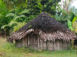 Inilah Hal menarik Sejarah Rumah Adat Honai diPapua