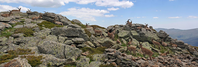 Peñalara - Sierra de Guadarrama