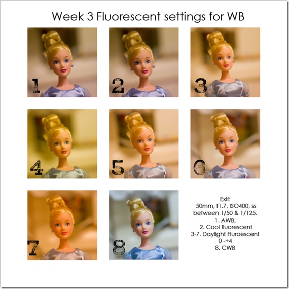 Storyboard 9 Photos 12x12