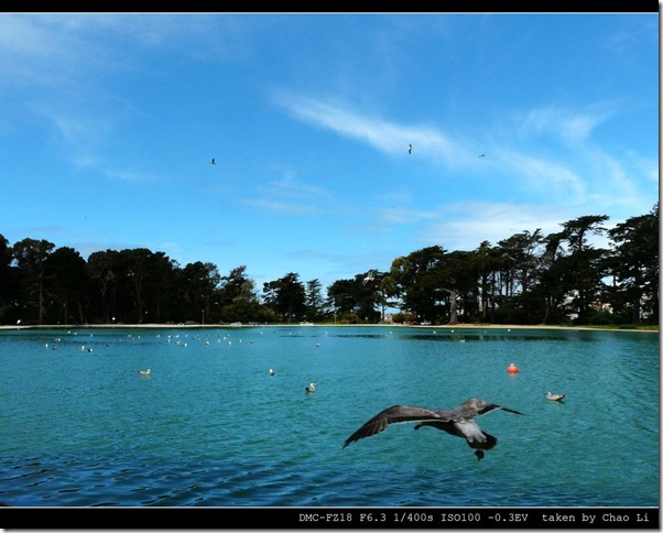 golden gate park