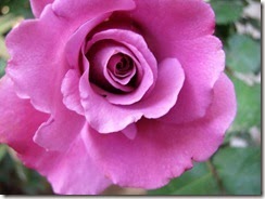 IMG_0004