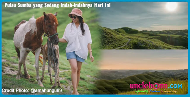 https://www.unclebonn.com/2021/01/pulau-sumba-yang-sedang-indah-indahnya.html