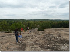 P1030247