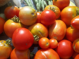 home grown tomatoes