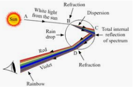 Formation of rainbow