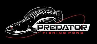 Kolam pemancingan Predator Fishing Pond Sidoarjo