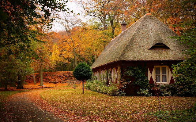 Top 10 World's Most Beautiful Forest Houses