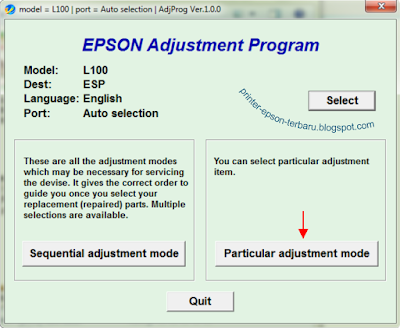 epson l100 blinking