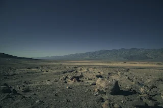 Descoberta Científica Revela Tesouro  Alimentar do Deserto