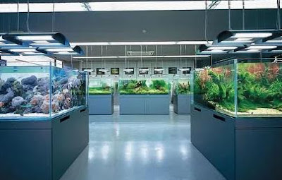 Harga Aquarium Lengkap