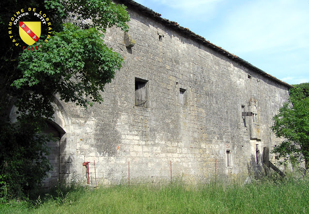 MARTINCOURT (54) - Le château de Pierrefort