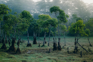 Cloud hunting adventures tour in Da Lat