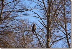 IMG_2534