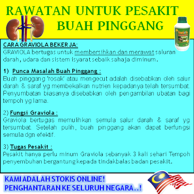 GRAVIOLA - Jus Daun Durian Belanda Rawatan Buah Pinggang