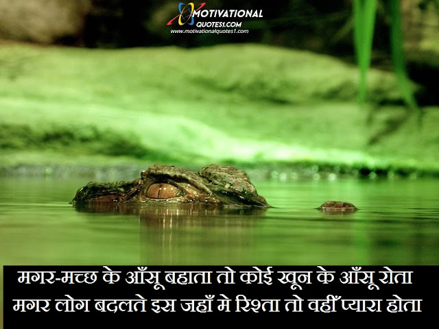 घड़ियाली आंसू शायरी, मगरमच्छ के आंसू शायरी, magarmach ke aansu shayari, magarmach ke aansu quotes, crocodile quotes, magarmach ke aansu, मगरमच्छ शायरी	, magarmach in hindi, magarmach ke aansu in english, मगरमाच,Magarmach Quotes In Hindi || मगरमछ कोट्स हिंदी में