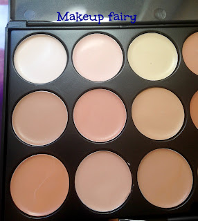 one_product_review_blush_italia_camouflage_palette