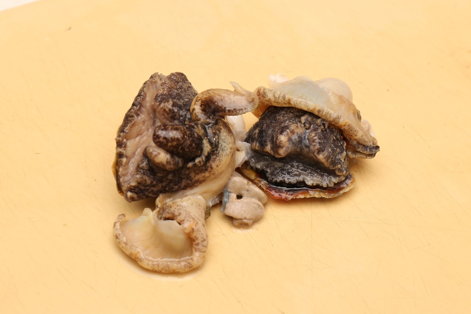 これであなたも貝博士 サザエより美味しいニシ アカニシ の美味しい食べ方を解説します イクメンライフハッカー