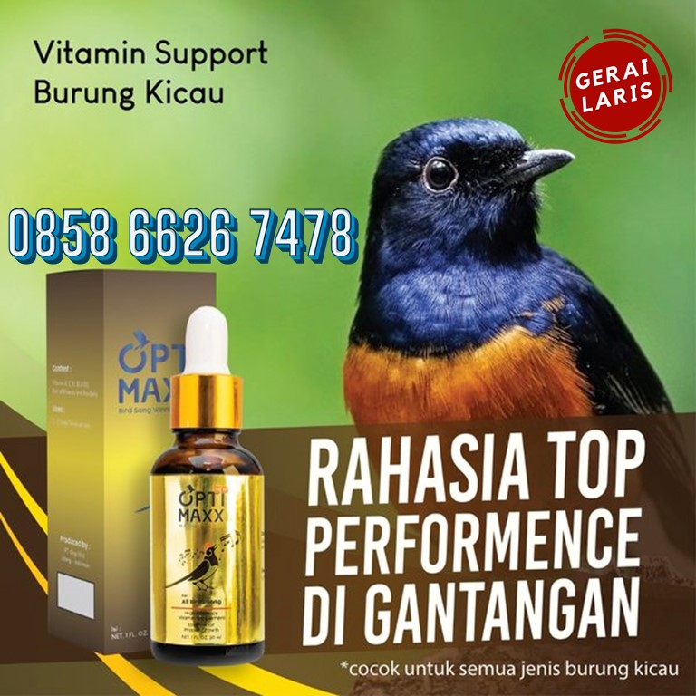 optimaxx vitamin burung paling laris