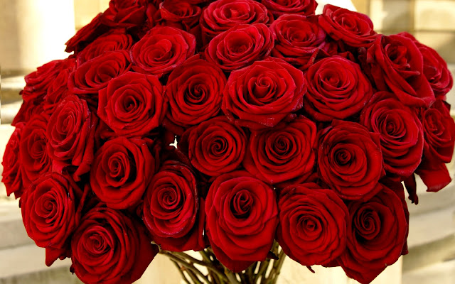 Valentine’s Day Red Roses Image