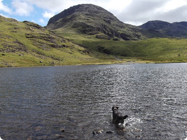bruno, styhead tarn, great end