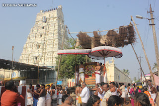 Thirunindravur,  Sri Bhakthavatsala Perumal, Brahmotsavam,Aadisesha vahanam  2017, Video, Divya Prabhandam,Utsavam,