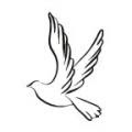 dove tattoo